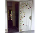 Wrought Iron Door Gate